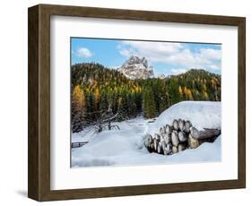 Wood-Marco Carmassi-Framed Photographic Print