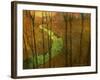 Woodblock Stream I-Chris Vest-Framed Photographic Print