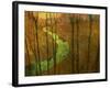 Woodblock Stream I-Chris Vest-Framed Photographic Print