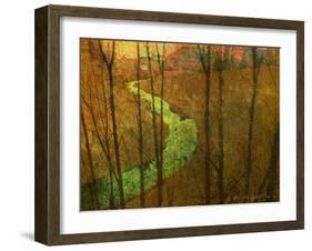 Woodblock Stream I-Chris Vest-Framed Photographic Print