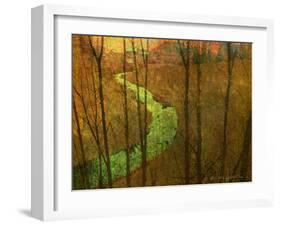 Woodblock Stream I-Chris Vest-Framed Photographic Print