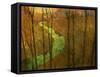 Woodblock Stream I-Chris Vest-Framed Stretched Canvas