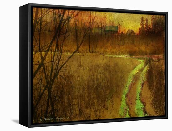 Woodblock Stream II-Chris Vest-Framed Stretched Canvas