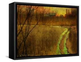 Woodblock Stream II-Chris Vest-Framed Stretched Canvas