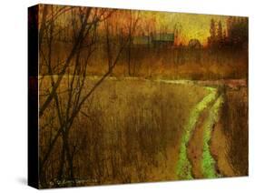 Woodblock Stream II-Chris Vest-Stretched Canvas
