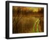 Woodblock Stream II-Chris Vest-Framed Photographic Print