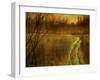 Woodblock Stream II-Chris Vest-Framed Photographic Print