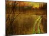 Woodblock Stream II-Chris Vest-Mounted Photographic Print