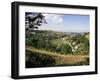 Woodchester, Cotswolds, Gloucestershire, UK-Adam Woolfitt-Framed Photographic Print