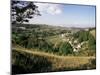 Woodchester, Cotswolds, Gloucestershire, UK-Adam Woolfitt-Mounted Photographic Print