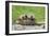 Woodchuck (Marmota monax) adult, carrying three young on back, Minnesota, USA-Jurgen & Christine Sohns-Framed Photographic Print