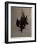 Woodcock Brace-James Gillick-Framed Giclee Print