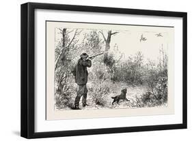 Woodcock Shooting, 1884-null-Framed Giclee Print