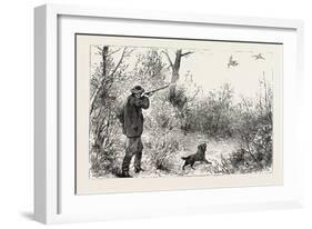 Woodcock Shooting, 1884-null-Framed Giclee Print