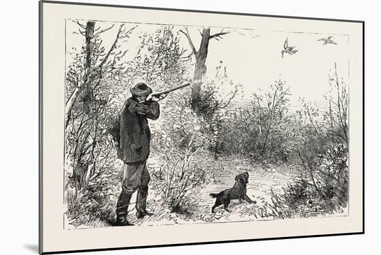 Woodcock Shooting, 1884-null-Mounted Giclee Print