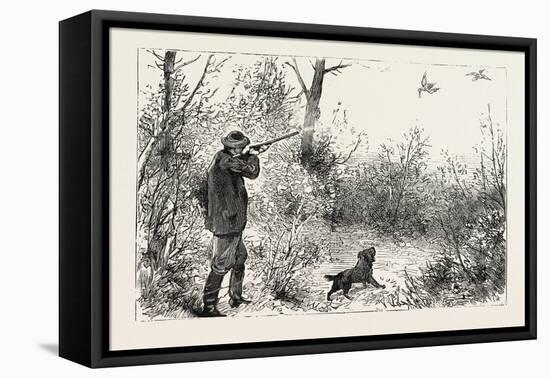 Woodcock Shooting, 1884-null-Framed Stretched Canvas