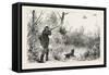 Woodcock Shooting, 1884-null-Framed Stretched Canvas