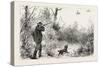 Woodcock Shooting, 1884-null-Stretched Canvas