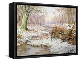 Woodcock-Carl Donner-Framed Stretched Canvas