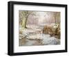 Woodcock-Carl Donner-Framed Giclee Print