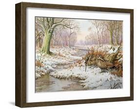 Woodcock-Carl Donner-Framed Giclee Print