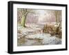 Woodcock-Carl Donner-Framed Giclee Print