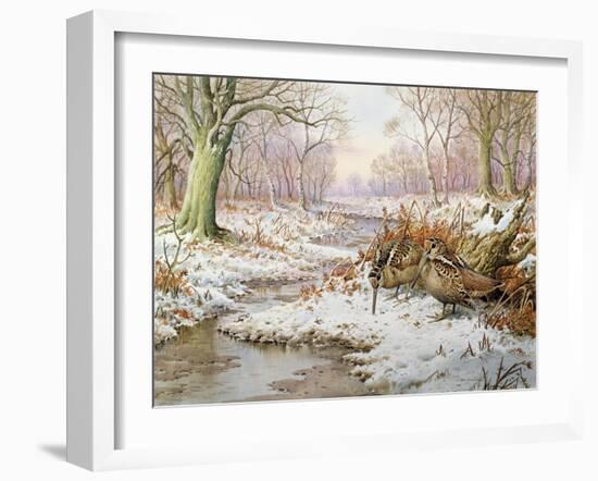 Woodcock-Carl Donner-Framed Giclee Print