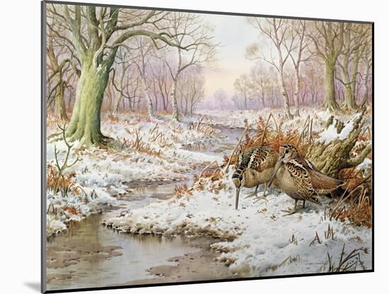 Woodcock-Carl Donner-Mounted Giclee Print