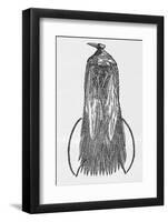 Woodcut Illustration of Bird-of-paradise-Middle Temple Library-Framed Photographic Print