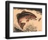 Woodcut of Bass-null-Framed Art Print