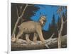 Woodcut of Canada Lynx-null-Framed Art Print