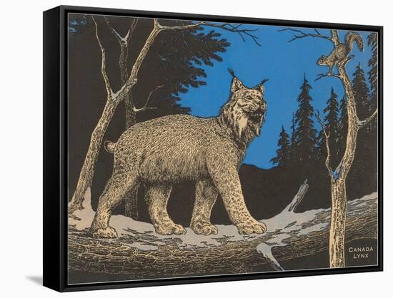 Woodcut of Canada Lynx-null-Framed Stretched Canvas