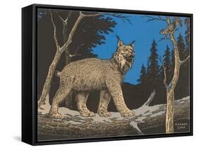 Woodcut of Canada Lynx-null-Framed Stretched Canvas