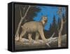 Woodcut of Canada Lynx-null-Framed Stretched Canvas