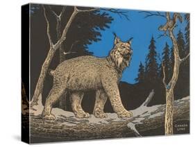 Woodcut of Canada Lynx-null-Stretched Canvas