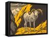 Woodcut of Dalls Sheep-null-Framed Stretched Canvas