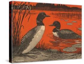 Woodcut of Loons-null-Stretched Canvas