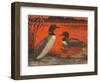 Woodcut of Loons-null-Framed Art Print