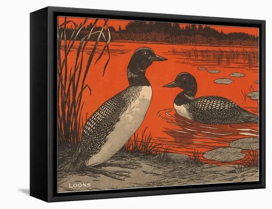 Woodcut of Loons-null-Framed Stretched Canvas