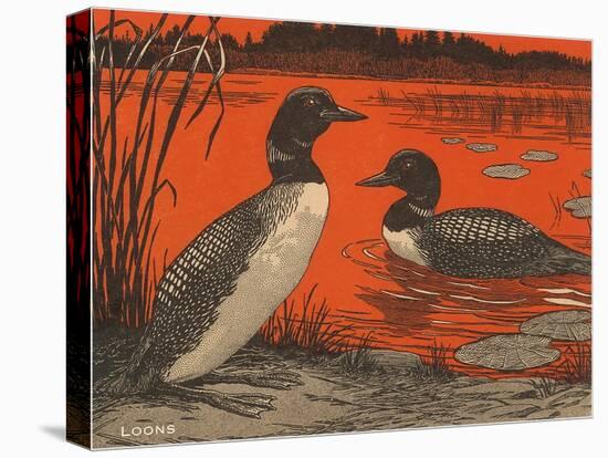 Woodcut of Loons-null-Stretched Canvas