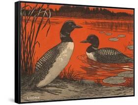 Woodcut of Loons-null-Framed Stretched Canvas