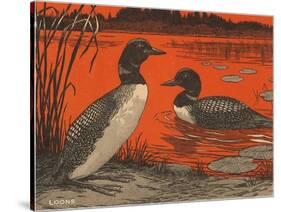 Woodcut of Loons-null-Stretched Canvas