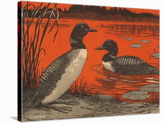 Woodcut of Loons-null-Stretched Canvas