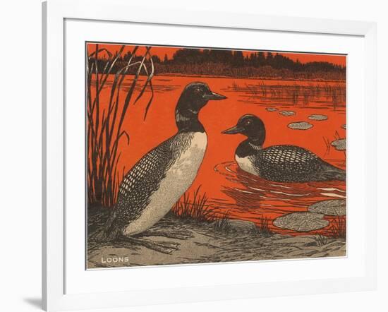 Woodcut of Loons-null-Framed Art Print