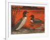 Woodcut of Loons-null-Framed Art Print