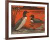 Woodcut of Loons-null-Framed Art Print