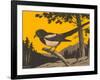 Woodcut of Magpie-null-Framed Art Print