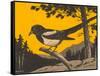 Woodcut of Magpie-null-Framed Stretched Canvas