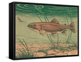 Woodcut of Rainbow Trout-null-Framed Stretched Canvas