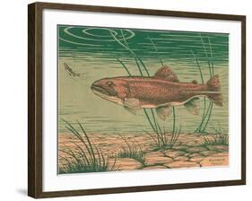 Woodcut of Rainbow Trout-null-Framed Art Print